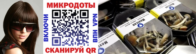 Псилоцибиновые грибы мицелий Мичуринск